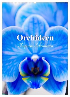 Orchideen - Tropische Schönheiten (Wandkalender 2024 DIN A2 hoch), CALVENDO Monatskalender