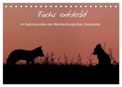Fuchs entdeckt - im Naturparadies der Mecklenburgischen Seenplatte (Tischkalender 2024 DIN A5 quer), CALVENDO Monatskalender
