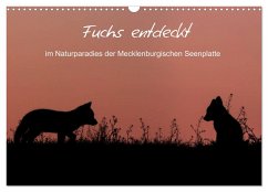 Fuchs entdeckt - im Naturparadies der Mecklenburgischen Seenplatte (Wandkalender 2024 DIN A3 quer), CALVENDO Monatskalender