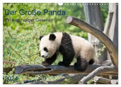 Der Große Panda Ein kuscheliger Geselle (Wandkalender 2024 DIN A3 quer), CALVENDO Monatskalender - Selection, Prime