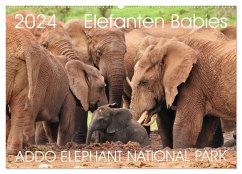 ADDO ELEPHANT NATIONAL PARK Elefanten Babies (Wandkalender 2024 DIN A2 quer), CALVENDO Monatskalender