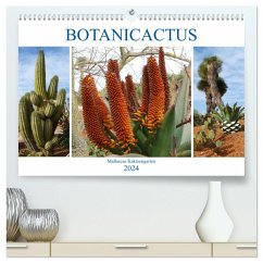 BOTANICACTUS Mallorcas Kakteengarten (hochwertiger Premium Wandkalender 2024 DIN A2 quer), Kunstdruck in Hochglanz
