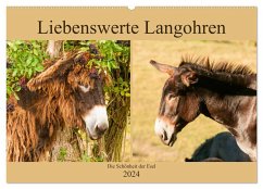 Liebenswerte Langohren - Die Schönheit der Esel (Wandkalender 2024 DIN A2 quer), CALVENDO Monatskalender
