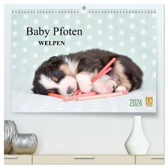 Baby Pfoten (hochwertiger Premium Wandkalender 2024 DIN A2 quer), Kunstdruck in Hochglanz