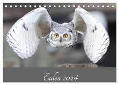 Eulen 2024 (Tischkalender 2024 DIN A5 quer), CALVENDO Monatskalender