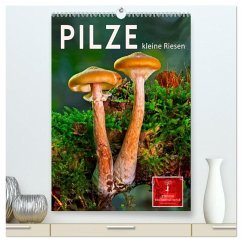 Pilze - kleine Riesen (hochwertiger Premium Wandkalender 2024 DIN A2 hoch), Kunstdruck in Hochglanz