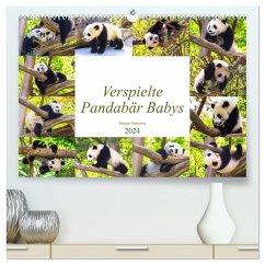 Pandabär Babys (hochwertiger Premium Wandkalender 2024 DIN A2 quer), Kunstdruck in Hochglanz