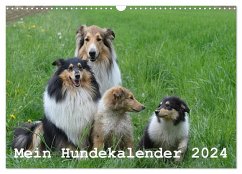 Mein Hundekalender 2024 (Wandkalender 2024 DIN A3 quer), CALVENDO Monatskalender - Bollich, Heidi
