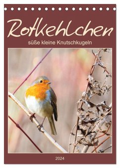 Rotkehlchen, süße kleine Knutschkugeln (Tischkalender 2024 DIN A5 hoch), CALVENDO Monatskalender