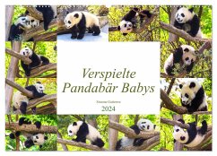 Pandabär Babys (Wandkalender 2024 DIN A2 quer), CALVENDO Monatskalender