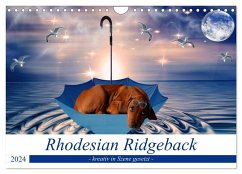 Rhodesian Ridgeback - kreativ in Szene gesetzt - (Wandkalender 2024 DIN A4 quer), CALVENDO Monatskalender - Behrens, Dagmar
