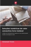 Soluções numéricas de calor convectivo livre instável