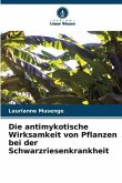 Die antimykotische Wirksamkeit von Pflanzen bei der Schwarzriesenkrankheit
