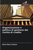 Organizzazione e politica di gestione del rischio di credito