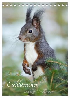 Eichhörnchen - zauberhafte Waldbewohner (Tischkalender 2024 DIN A5 hoch), CALVENDO Monatskalender - Merk, Angela