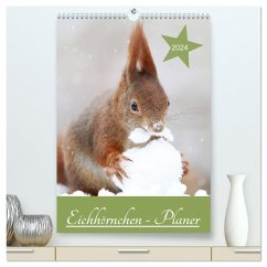 Eichhörnchen - Planer (hochwertiger Premium Wandkalender 2024 DIN A2 hoch), Kunstdruck in Hochglanz