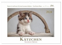 Kätzchen-Kalender mit Sprüchen (Wandkalender 2024 DIN A3 quer), CALVENDO Monatskalender