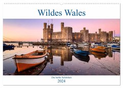 Wildes Wales (Wandkalender 2024 DIN A2 quer), CALVENDO Monatskalender