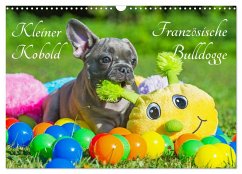 Kleiner Kobold Französische Bulldogge (Wandkalender 2024 DIN A3 quer), CALVENDO Monatskalender