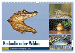 Krokodile in der Wildnis (Wandkalender 2024 DIN A3 quer), CALVENDO Monatskalender