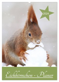 Eichhörnchen - Planer (Wandkalender 2024 DIN A2 hoch), CALVENDO Monatskalender