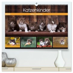 Katzenkinder - Britisch Kurzhaar (hochwertiger Premium Wandkalender 2024 DIN A2 quer), Kunstdruck in Hochglanz