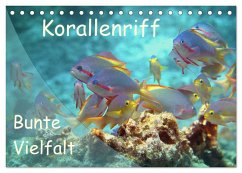 Bunte Vielfalt im Korallenriff (Tischkalender 2024 DIN A5 quer), CALVENDO Monatskalender