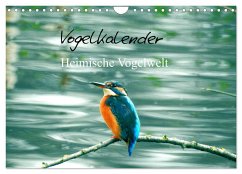 Vogelkalender (Wandkalender 2024 DIN A4 quer), CALVENDO Monatskalender - Fofino