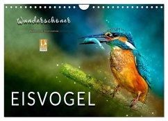 Wunderschöner Eisvogel (Wandkalender 2024 DIN A4 quer), CALVENDO Monatskalender