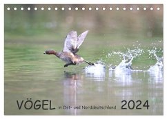 Vögel in Ost- und Norddeutschland 2024 (Tischkalender 2024 DIN A5 quer), CALVENDO Monatskalender - Jansen, Rolf