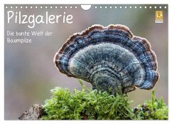 Pilzgalerie - Die bunte Welt der Baumpilze (Wandkalender 2024 DIN A4 quer), CALVENDO Monatskalender - Wurster, Beate
