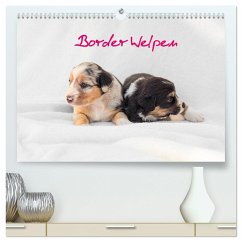 Border Welpen (hochwertiger Premium Wandkalender 2024 DIN A2 quer), Kunstdruck in Hochglanz