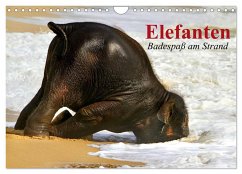 Elefanten. Badespaß am Strand (Wandkalender 2024 DIN A4 quer), CALVENDO Monatskalender - Stanzer, Elisabeth
