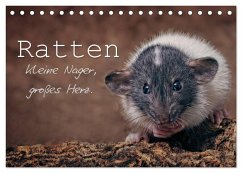 Ratten. Kleine Nager, großes Herz. (Tischkalender 2024 DIN A5 quer), CALVENDO Monatskalender