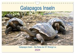 Galapagos Inseln - Die Reise der SY Shangri La (Wandkalender 2024 DIN A4 quer), CALVENDO Monatskalender