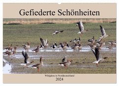 Gefiederte Schönheiten - Wildgänse in Norddeutschland (Wandkalender 2024 DIN A2 quer), CALVENDO Monatskalender