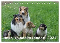 Mein Hundekalender 2024 (Tischkalender 2024 DIN A5 quer), CALVENDO Monatskalender - Bollich, Heidi