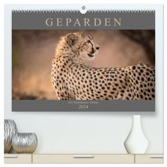 Geparden - Die Schönheiten Afrikas (hochwertiger Premium Wandkalender 2024 DIN A2 quer), Kunstdruck in Hochglanz