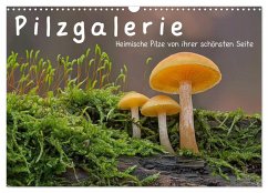 Pilzgalerie - Heimische Pilze von ihrer schönsten Seite (Wandkalender 2024 DIN A3 quer), CALVENDO Monatskalender