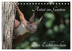 Artist im Garten. Das Eichhörnchen (Tischkalender 2024 DIN A5 quer), CALVENDO Monatskalender - Konieczka, Klaus