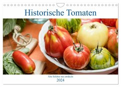 Historische Tomaten - Alte Schätze neu entdeckt (Wandkalender 2024 DIN A4 quer), CALVENDO Monatskalender - Meyer, Dieter