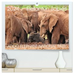 ADDO ELEPHANT NATIONAL PARK Elefanten Babies (hochwertiger Premium Wandkalender 2024 DIN A2 quer), Kunstdruck in Hochglanz