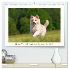 Kleine Islandhunde entdecken die Welt (hochwertiger Premium Wandkalender 2024 DIN A2 quer), Kunstdruck in Hochglanz