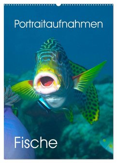 Portraitaufnahmen - Fische (Wandkalender 2024 DIN A2 hoch), CALVENDO Monatskalender - Niemann, Ute