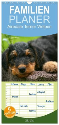 Familienplaner 2024 - Airedale Terrier Welpen mit 5 Spalten (Wandkalender, 21 x 45 cm) CALVENDO