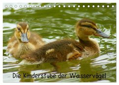 Die Kinderstube der Wasservögel (Tischkalender 2024 DIN A5 quer), CALVENDO Monatskalender - Kattobello