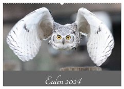 Eulen 2024 (Wandkalender 2024 DIN A2 quer), CALVENDO Monatskalender
