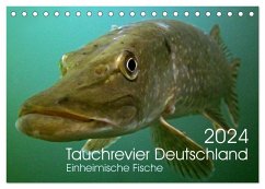 Tauchrevier Deutschland (Tischkalender 2024 DIN A5 quer), CALVENDO Monatskalender - Merkel - Tauchrevier Deutschland, Mario