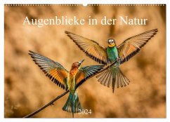 Augenblicke in der Natur (Wandkalender 2024 DIN A2 quer), CALVENDO Monatskalender