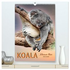 Koala, kleiner Bär (hochwertiger Premium Wandkalender 2024 DIN A2 hoch), Kunstdruck in Hochglanz